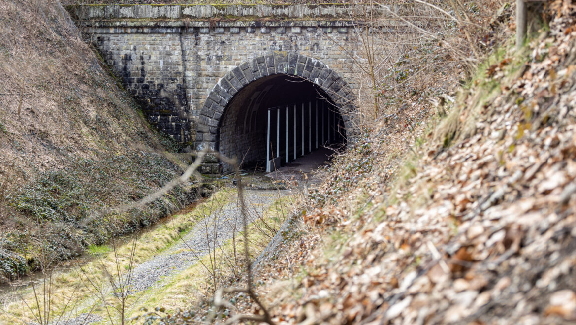 Klosterholztunnel